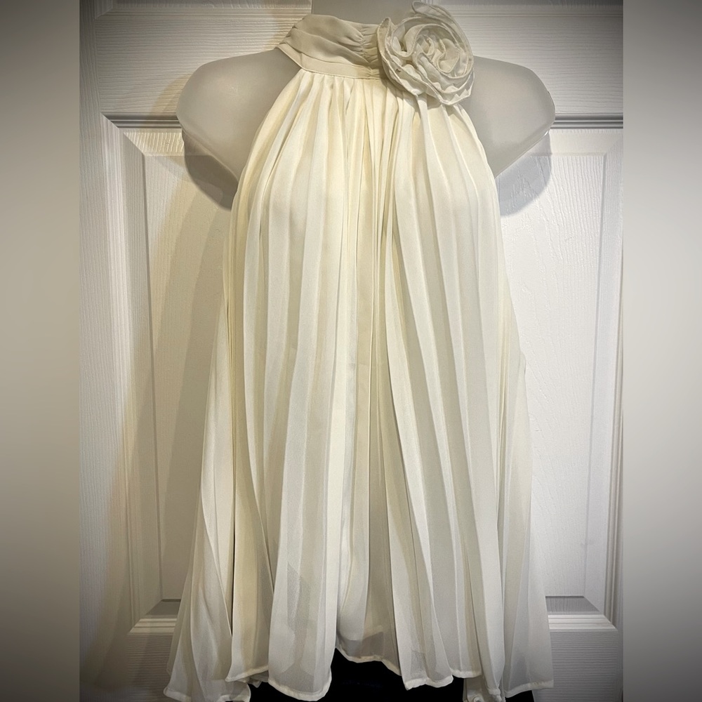 Express statement blouse